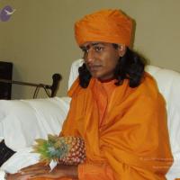 Picture 022504 093-solo_CMP_WM